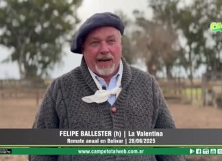 Entrevista a Felipe Ballester (h)