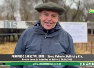 Entrevista a Fernando Sáenz Valiente