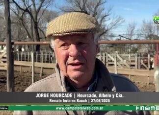 Entrevista a Jorge Hourcade