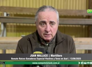 Entrevista a Juan Wallace