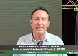 Entrevista a Marcos Mondino