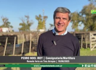 Entrevista a Pedro Noel Irey