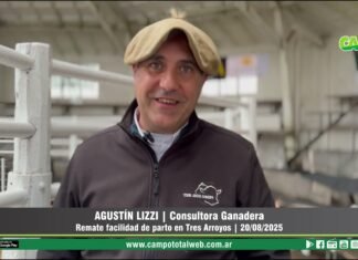 Entrevista a Agustín Lizzi