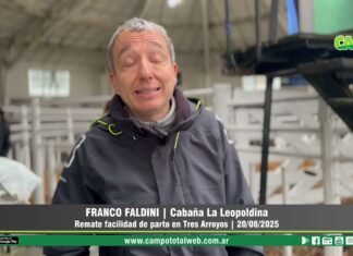 Entrevista a Franco Faldini
