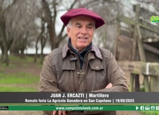 Entrevista a Juan J. Ercazti
