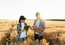 La digitalización en el agro: más que tecnología, un cambio de mentalidad