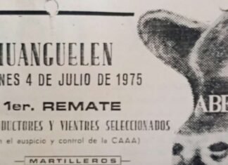 Un remate de oro para los colorados de Huanguelén