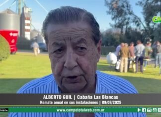 Entrevista a Alberto Guil