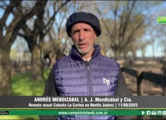 Entrevista a Andrés Mendizábal