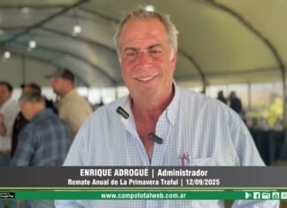 Entrevista a Enrique Adrogué