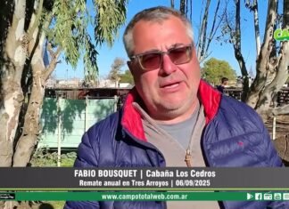 Entrevista a Fabio Bousquet
