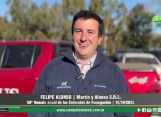 Entrevista a Felipe Alonso