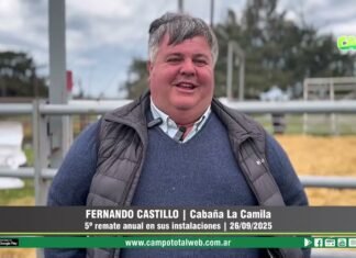Entrevista a Fernando Castillo