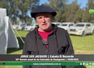 Entrevista a Jorge Luis Jacquier
