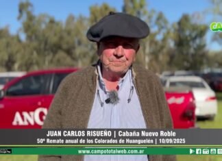 Entrevista a Juan Carlos Risueño