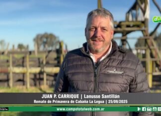 Entrevista a Juan P. Carrique