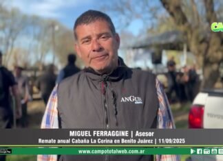 Entrevista a Miguel Ferraggine