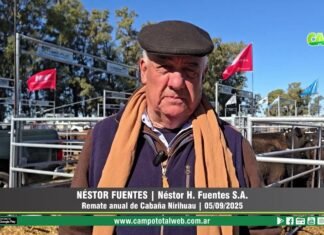 Entrevista a Néstor Fuentes