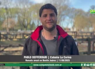 Entrevista a Pablo Defferrari