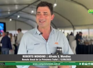 Entrevista a Roberto Mondino