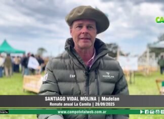 Entrevista a Santiago Vidal Molina