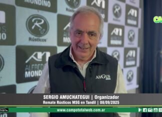 Entrevista a Sergio Amuchategui