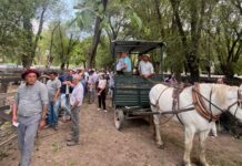 En Lobos la simbiosis siempre funciona