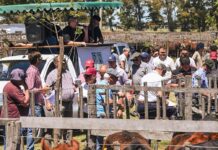 A toda maquina en Dorrego