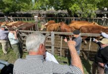 Tres Arroyos, tan constante como recurrente