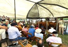 Las Planteleras con la calidad como bandera