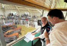 Rusticos, un remate de mecha corta