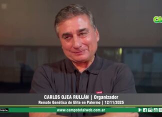 Entrevista a Carlos Ojea Rullán