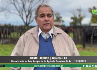 Entrevista a Daniel Alonso