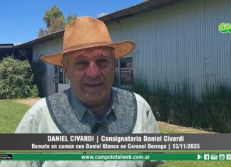 Entrevista a Daniel Civardi