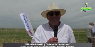 Entrevista a Fernando Briones