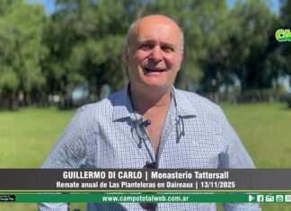 Entrevista a Guillermo Di Carlo