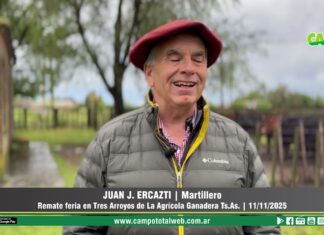 Entrevista a Juan J. Ercazti