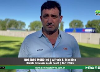 Entrevista a Roberto Mondino