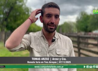 Entrevista a Tomás Arzoz