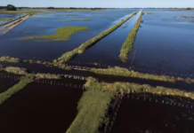 Son casi 6 millones las hectareas bajo el agua