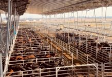 El mejor momento en 20 años y con chances de mejorar