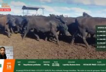 La web siempre suma manos