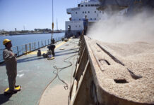 Exportaciones agroindustriales récord