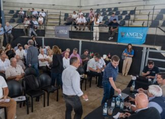 Habemus «jurAngus» 2026