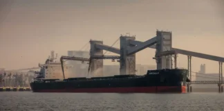 Se redefine el mercado global de granos