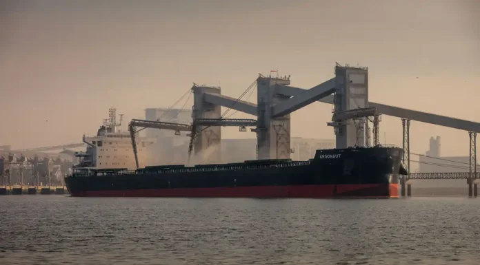 Se redefine el mercado global de granos