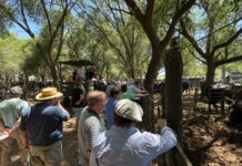 En Daireaux las madres coparon los corrales