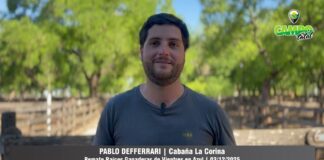 Entrevista a Pablo Defferrari