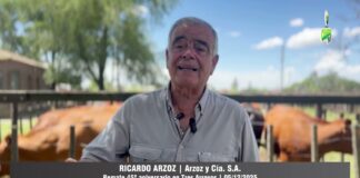 Entrevista a Ricardo Arzoz