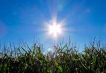 Febrero, ¿llegan las lluvias?